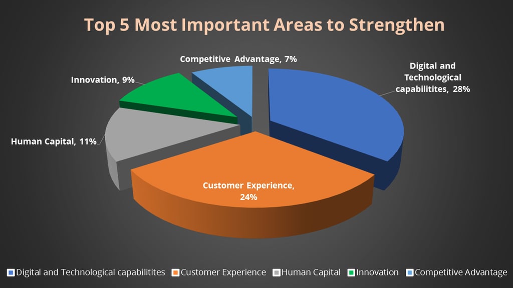 Most-important-business-area-to-strengthen.png