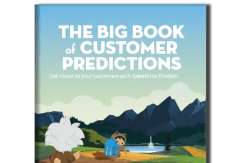 The Big Book of Customer Predictions