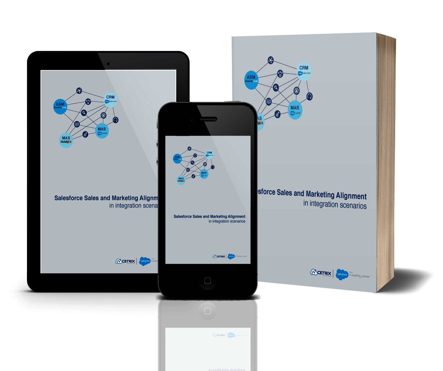 Gray-Book-Cover---Salesforce-integration