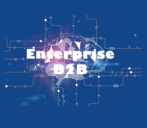 Enterprise B2B CetDigit Enterprise B2B CetDigit