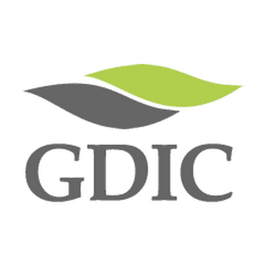 GDI 400 Logo