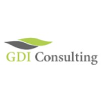 GDI- Consulting