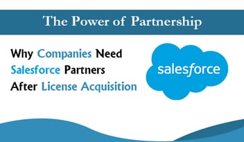 Why Companies Need Salesforce Partners After License Acquisition