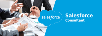 Salesforce Consultants