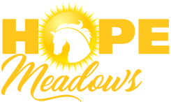 Hope Meadows Foundation