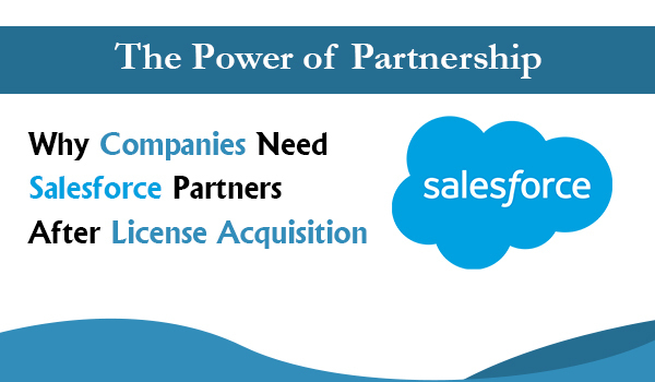 The Power of Partnership: Why Companies Need Salesforce Partners After License Acquisition