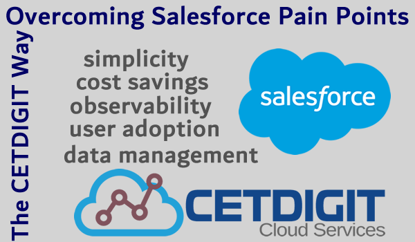 Overcoming Salesforce Pain Points: The CETDIGIT Way