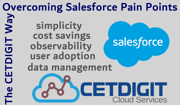 alesforce Pain Points: The CETDIGIT Way